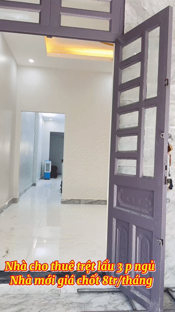 Cho thuê Nhà ở Thành phố Thuận An Bình Dương diện tích 100 m² giá 8 triệu/tháng