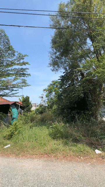 Mua bán Đất Huyện Gò Dầu Tây Ninh diện tích 306 m² giá 1,2 tỷ