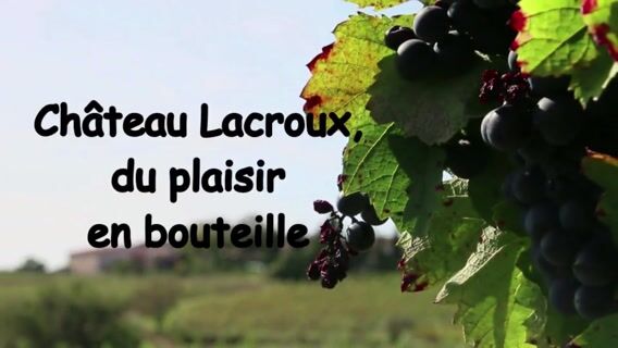 De la vendange à la mise en bouteille