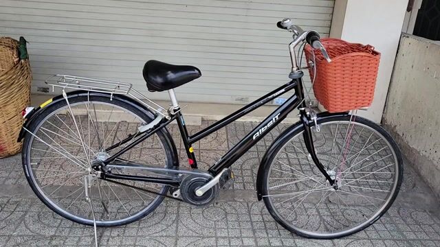 Xe đạp Bridgestone Albert Đen. Mua bán Xe đạp tại Huyện Bình Chánh Tp Hồ Chí Minh được đăng bởi XE ĐẠP TỐT hình 1