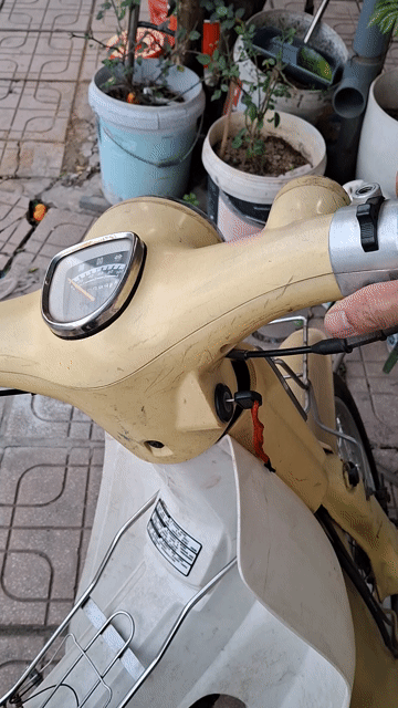 Xe máy Cub 50cc Trắng Vàng. Mua bán Xe máy tại Quận Long Biên Hà Nội được đăng bởi luule hình 1
