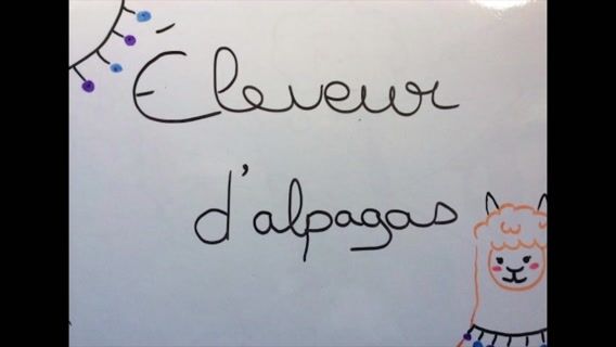 Eleveur d'alpagas, un métier original