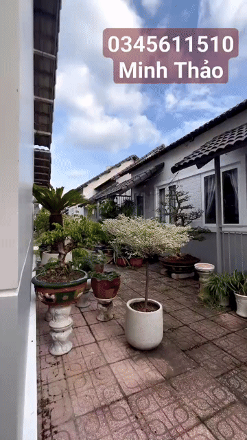 Cho thuê Nhà ở Khu biệt thự Phú Thịnh Thành phố Thủ Dầu Một Bình Dương diện tích 40 m² giá 4,5 triệu/tháng