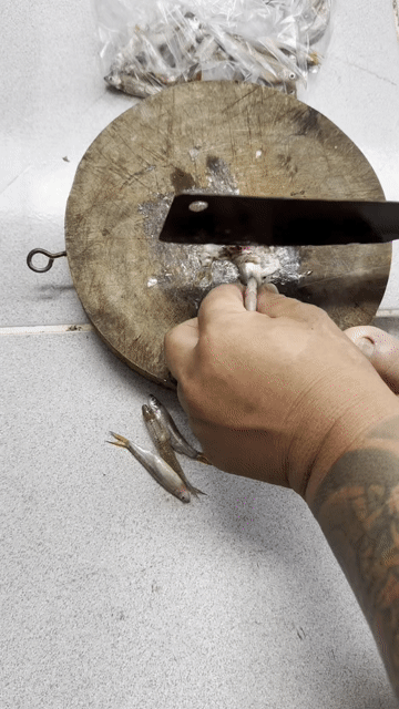 Cá lóc bông Thái Lan 5-6cm. Mua bán Thú cưng khác tại Huyện Bình Chánh Tp Hồ Chí Minh được đăng bởi Ngân Bán Cá Lóc hình 1