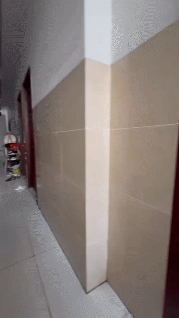 Cho thuê Căn hộ Chung cư Quận 10 Tp Hồ Chí Minh diện tích 30 m² giá 4,5 triệu/tháng