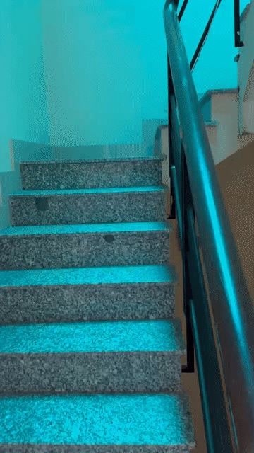 Cho thuê Căn hộ Chung cư Quận Gò Vấp Tp Hồ Chí Minh diện tích 40 m² giá 4 triệu/tháng