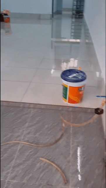 Cho thuê Văn phòng, Mặt bằng kinh doanh Huyện Hóc Môn Tp Hồ Chí Minh diện tích 108 m² giá 10 triệu/tháng