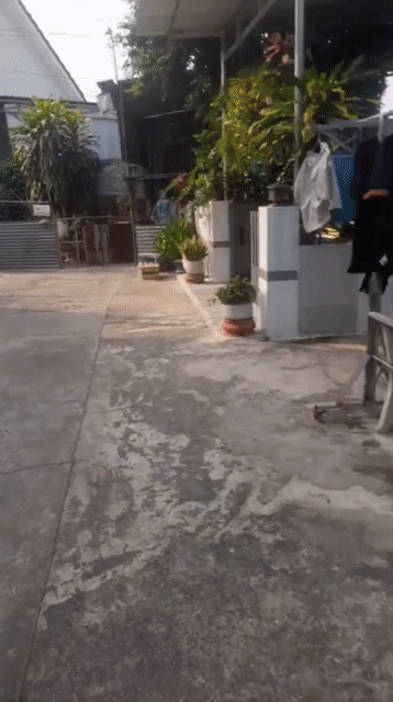 Mua bán Nhà ở Thành phố Tây Ninh Tây Ninh diện tích 84 m² giá 720 triệu