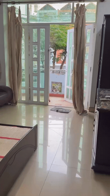 Cho thuê Nhà ở Quận 8 Tp Hồ Chí Minh diện tích 56 m² giá 20 triệu/tháng