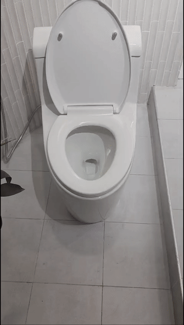 Bồn cầu 1 khối sứ trắng. Mua bán Thiết bị vệ sinh, nhà tắm tại Thành phố Thủ Đức Tp Hồ Chí Minh được đăng bởi Lành Nguyễn hình 1