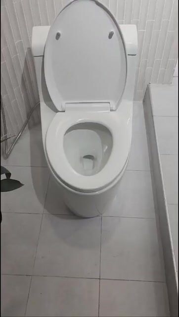 Bồn cầu 1 khối sứ trắng. Mua bán Thiết bị vệ sinh, nhà tắm tại Thành phố Thủ Đức Tp Hồ Chí Minh được đăng bởi Lành Nguyễn hình 1
