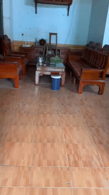 Cho thuê Nhà ở Thành phố Vinh Nghệ An diện tích 242 m² giá 3,8 triệu/tháng