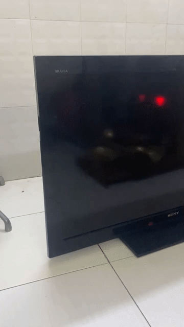 Tivi Sony KLV-40BX420 Đã sử dụng. Mua bán Tivi, Âm thanh tại Quận 4 Tp Hồ Chí Minh được đăng bởi Rainny hình 1