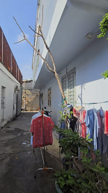 Mua bán Nhà ở Huyện Bình Chánh Tp Hồ Chí Minh diện tích 52.7999 m² giá 2,95 tỷ