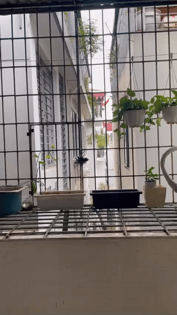 Mua bán Căn hộ Chung cư Quận Cầu Giấy Hà Nội diện tích 45 m² giá 1,8 tỷ