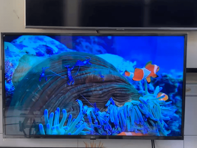 Tivi LG 43 inch 4K. Mua bán Tivi, Âm thanh tại Quận Ninh Kiều Cần Thơ được đăng bởi Sửa Tivi Cần Thơ hình 1