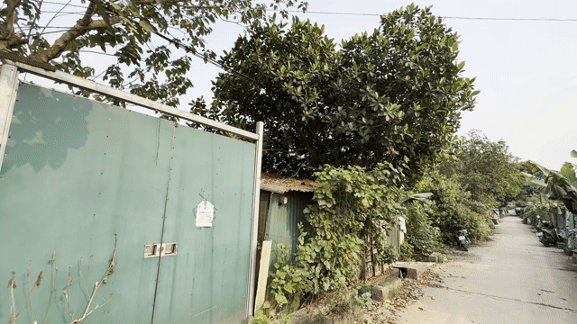 Mua bán Đất Quận Long Biên Hà Nội diện tích 400 m² giá 1,2 tỷ