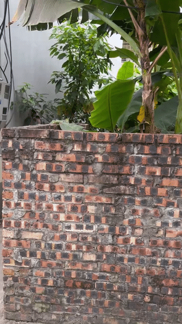 Mua bán Đất Quận Hải An Hải Phòng diện tích 116.5 m² giá 3,6 tỷ