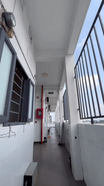 Cho thuê Căn hộ Chung cư Quận Bình Tân Tp Hồ Chí Minh diện tích 28 m² giá 2,9 triệu/tháng