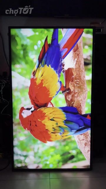 Tivi LG 49uk6340ptf 4K Wifi 49 inch Like New. Mua bán Tivi, Âm thanh tại Quận Tân Bình Tp Hồ Chí Minh được đăng bởi Mua bán Tivi cũ hình 1