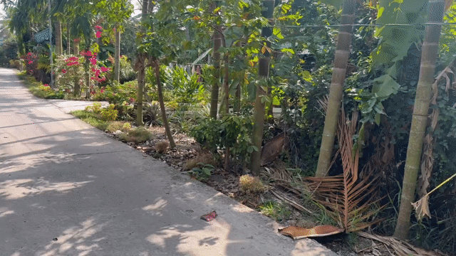 Mua bán Đất Huyện Giồng Riềng Kiên Giang diện tích 5440 m² giá 5,9 tỷ