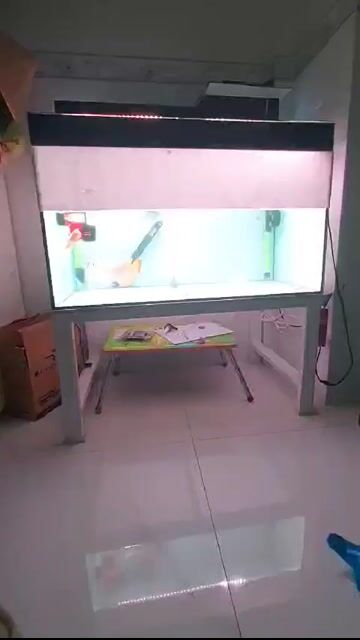 Bể cá 100.60.60 kính 10 li mài vi tính . Mua bán Phụ kiện, Thức ăn, Dịch vụ tại Thị xã Phú Mỹ Bà Rịa - Vũng Tàu được đăng bởi Pets  hình 1