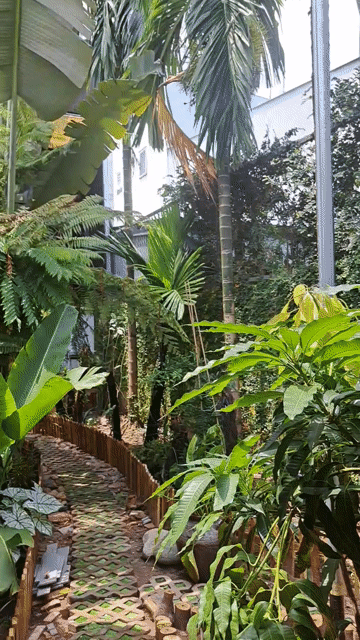 Cho thuê Phòng trọ Huyện Hóc Môn Tp Hồ Chí Minh diện tích 10 m² giá 1,5 triệu/tháng