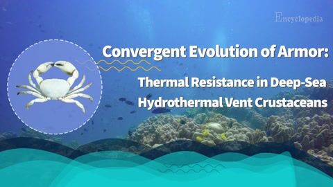 Encyclopedia-Thermal Resistance in Deep-Sea Hydrothermal Vent Crustaceans