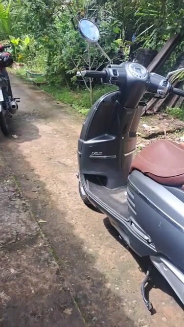 Xe PEUGEOT ,sản xuất pháp. Năm 2022,đi hơn 6000k,c. Mua bán Xe máy tại Thành phố Bến Tre Bến Tre được đăng bởi Sang hình 1
