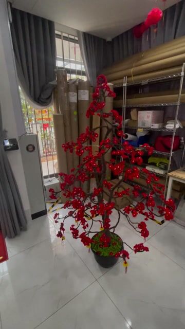 Cây mai đỏ trang trí Bonsai. Mua bán Cây cảnh, đồ trang trí tại Thành phố Thủ Đức Tp Hồ Chí Minh được đăng bởi Bình hình 1