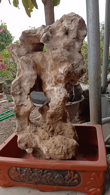 Đá cảnh tự nhiên Nâu Trắng Nguyên bản. Mua bán Đồ sưu tầm, đồ cổ tại Huyện Thuỷ Nguyên Hải Phòng được đăng bởi cuong do hình 1