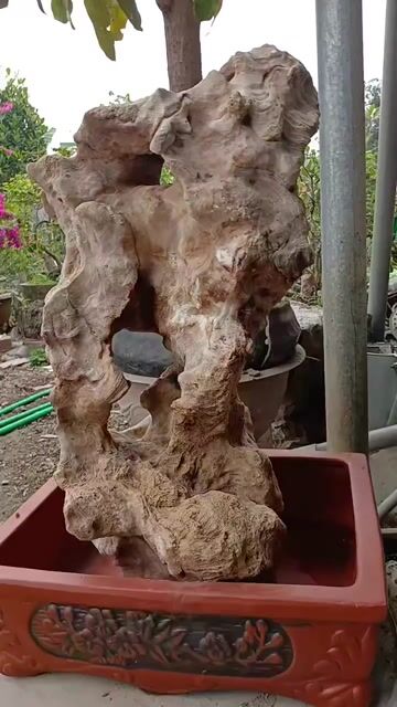 Đá cảnh tự nhiên Nâu Trắng Nguyên bản. Mua bán Đồ sưu tầm, đồ cổ tại Huyện Thuỷ Nguyên Hải Phòng được đăng bởi cuong do hình 1