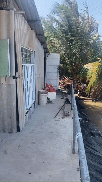 Mua bán Đất Huyện Tân Phú Đông Tiền Giang diện tích 23000 m² giá 20 tỷ