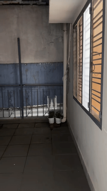 Cho thuê Phòng trọ Quận 3 Tp Hồ Chí Minh diện tích 9999 m² giá 5 triệu/tháng