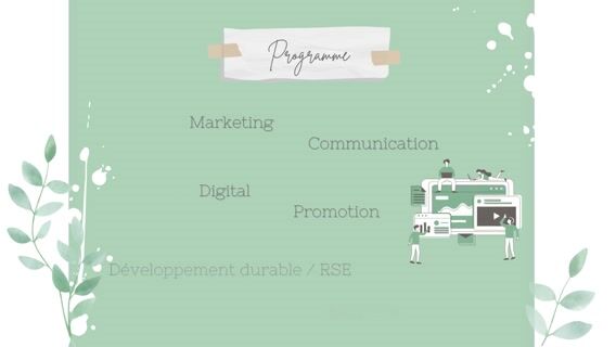 Bachelor Digital Wellness and Green Business