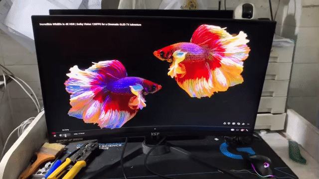 Thanh Lý Màn VSP 27inch 165Hz Cong ám hồng nhẹ. Mua bán Phụ kiện (Màn hình, Chuột...) tại Quận Tân Bình Tp Hồ Chí Minh được đăng bởi CHIP PC GAMING HP hình 1