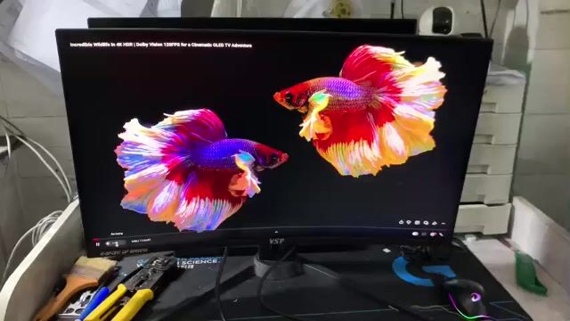 Thanh Lý Màn VSP 27inch 165Hz Cong ám hồng nhẹ. Mua bán Phụ kiện (Màn hình, Chuột...) tại Quận Tân Bình Tp Hồ Chí Minh được đăng bởi CHIP PC GAMING HP hình 1