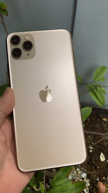 Apple iPhone 11 Pro Max 256GB Vàng may 98%. Mua bán Điện thoại tại Quận 10 Tp Hồ Chí Minh được đăng bởi Thịnh hình 1