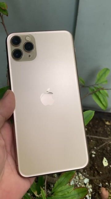 Apple iPhone 11 Pro Max 256GB Vàng may 98%. Mua bán Điện thoại tại Quận 10 Tp Hồ Chí Minh được đăng bởi Thịnh hình 1