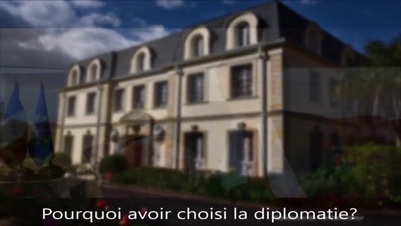 Interview d'un ambassadeur