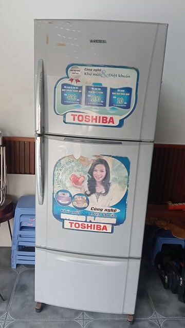 Tủ lạnh Toshiba GR-M45VDV 395L Xám. Mua bán Tủ lạnh tại Quận Bình Tân Tp Hồ Chí Minh được đăng bởi Nguyenthinh hình 1