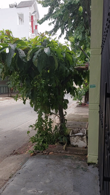 Cho thuê Nhà ở Huyện Hóc Môn Tp Hồ Chí Minh diện tích 300 m² giá 20 triệu/tháng hình 2