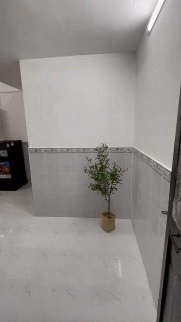 Cho thuê Phòng trọ Quận Tân Phú Tp Hồ Chí Minh diện tích 30 m² giá 4,8 triệu/tháng