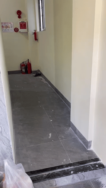 Cho thuê Phòng trọ Quận Sơn Trà Đà Nẵng diện tích 20 m² giá 3 triệu/tháng