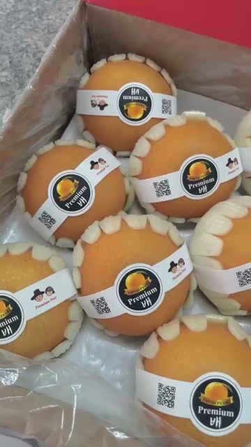 Lê Hàn Quốc giòn ngọt. Mua bán Đồ ăn, thực phẩm và các loại khác tại Quận 6 Tp Hồ Chí Minh được đăng bởi quỳnh hình 1