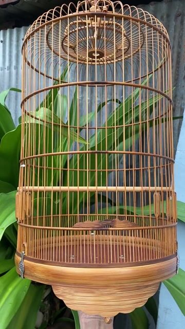 Lồng chim Tre Chòe Đất Nguyên zin. Mua bán Phụ kiện, Thức ăn, Dịch vụ tại Quận 6 Tp Hồ Chí Minh được đăng bởi KEN hình 1