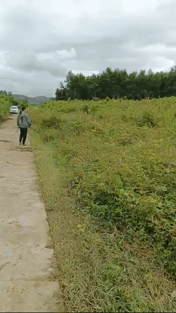 Mua bán Đất Huyện Khánh Vĩnh Khánh Hòa diện tích 2053.2 m² giá 525 triệu