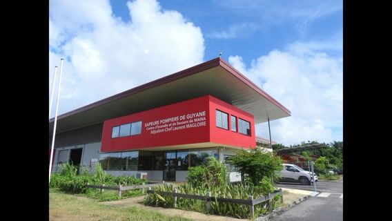 Interventions sur la faune sauvage