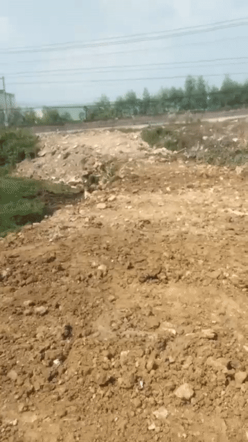 Mua bán Đất Huyện Gò Dầu Tây Ninh diện tích 800 m² giá 3,1 tỷ