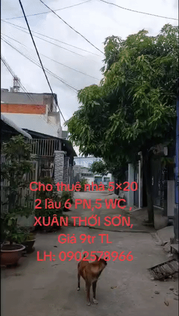 Cho thuê Nhà ở Huyện Hóc Môn Tp Hồ Chí Minh diện tích 100 m² giá 9 triệu/tháng